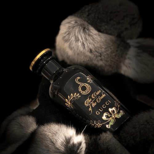 عطر ذا فويس أوف ذا سنيك من قوتشي - او دو برفيوم -...