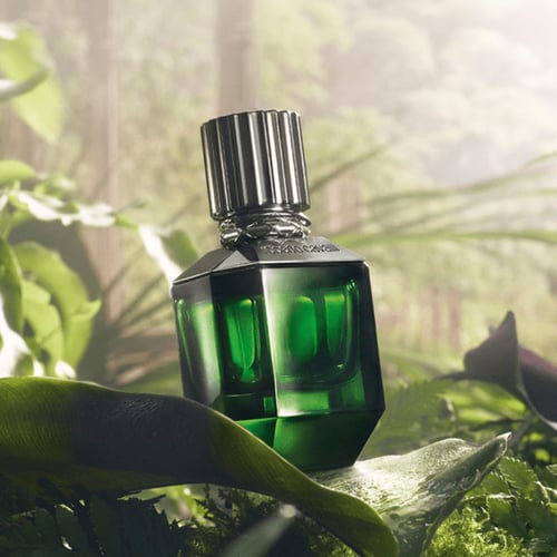 عطر باراديسو فاوند من روبرتو كفالي للرجال - اي دي...