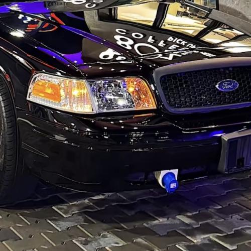 فيش الفورد البوليسي