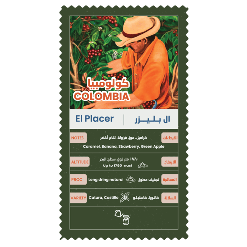 بوكس اليوم الوطني (3 محاصيل من اختيارك + اكوب وستي...