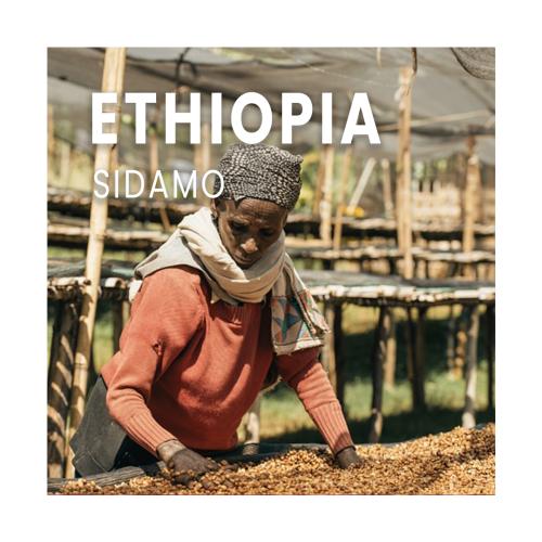 سيدامو - اثيوبي 500 جرام