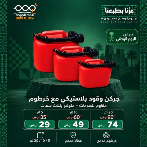 Heavy-Duty Plastic Petrol Fuel Can with Flexible H...