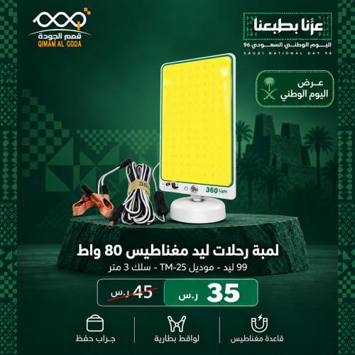 80W Square LED Travel Bulb Magnet White