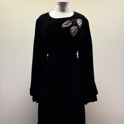 Velvet embroidered dress