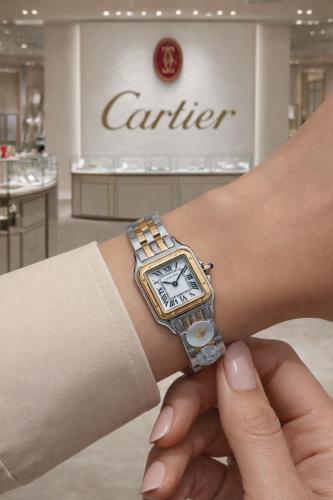 كارتير بانثر نسائي