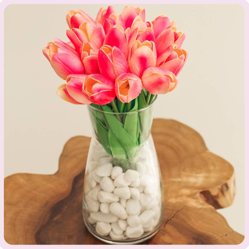 فازة "رقة التوليب" – تنسيق توليب وردي دائم بقاعدة...