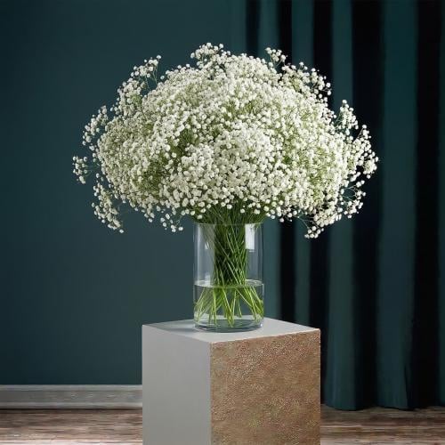 فازة "طيف الجبسوفيليا" - سحابة النقاء في زجاج كريس...