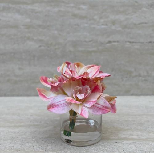 فازة "أوركيد كيمبيديوم" - فخامة التميز النادر