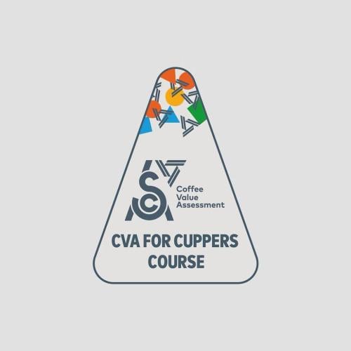 دورة تقييم القهوة CVA
