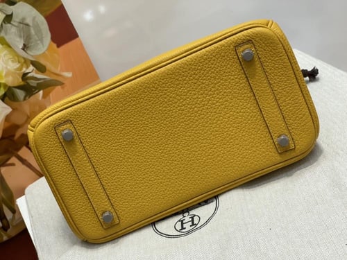 Hermes Birkin 25