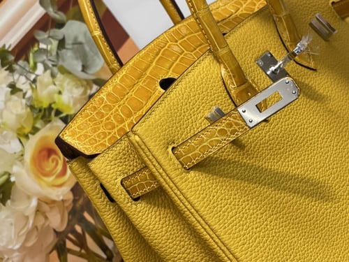 Hermes Birkin 25