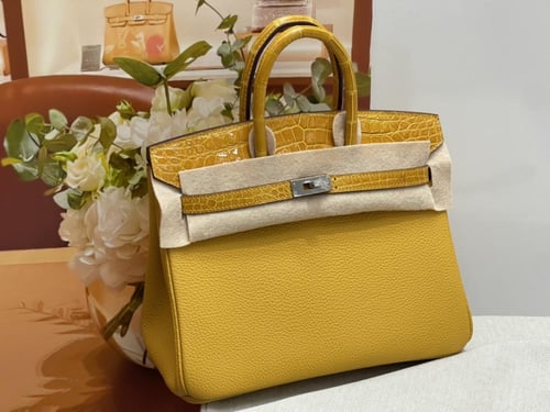 Hermes Birkin 25