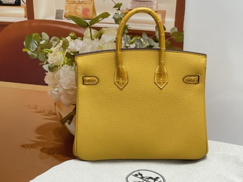Hermes Birkin 25