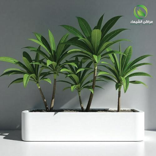 حوض زرع كيرفي 1.5م فيبر