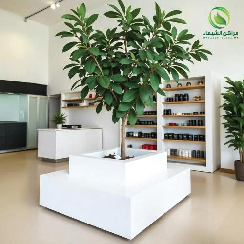 جلسة خارجية كبيرة للمحلات والمولات والمكاتب الإدار...