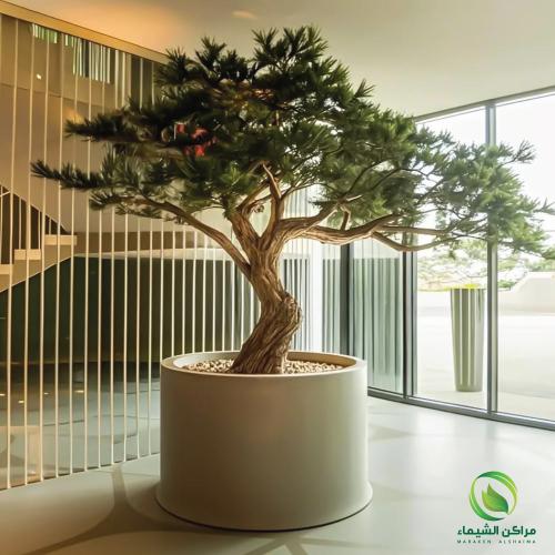 حوض زرع كبير جدا دائري فيبر قطر 1م لزراعة الأشجار