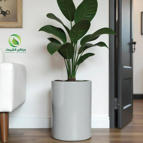 مركن زرع فيبر دائري 60سم