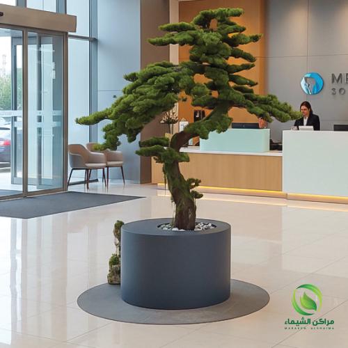 مركن لزراعة الاشجار دائري