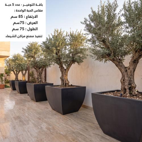 أحواض زراعة الاشجار الكبيرة الزيتون والنخل - جملة 5حبة