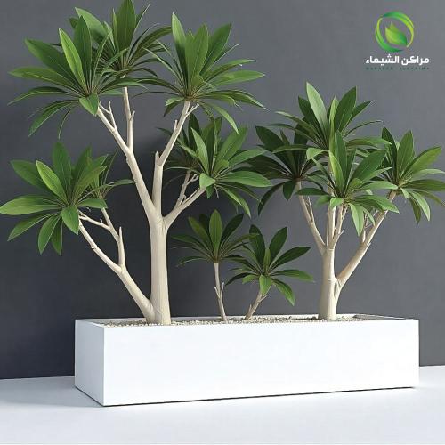 حوض للزراعه 1.5م كبير فيبر