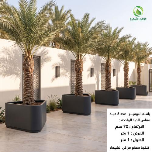 أحواض زراعة النخيل الكبيرة - جملة 5حبة