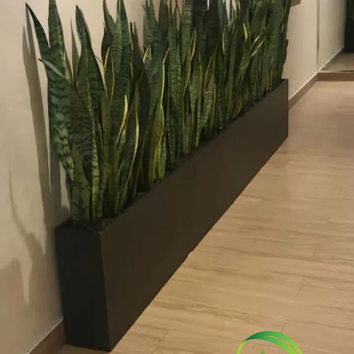 حوض زرع فايبر 2.5 م لمداخل الشركات