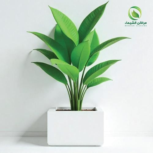 مركن زرع جاهز للأشجار