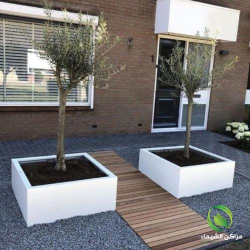 مركن لزراعة الاشجار جاهز كبير