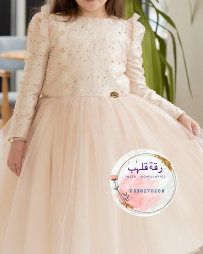 فستان بيج مطرز فخم للمناسبات الشتاء