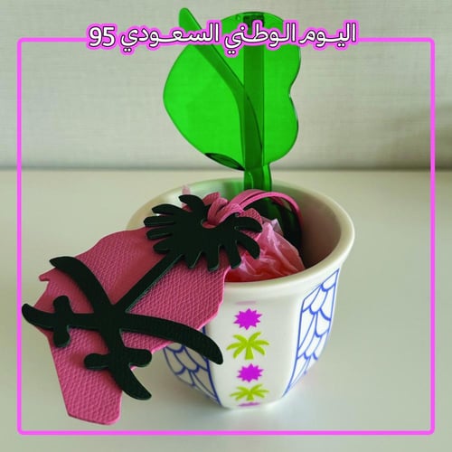 SAUDI FINJAL CUP