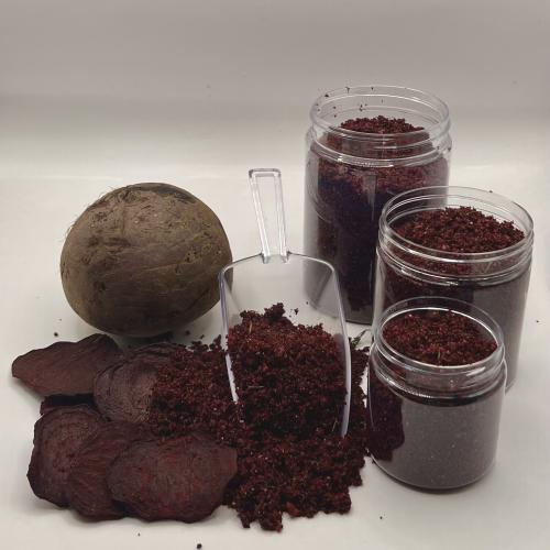 بنجر ريمولا بالخلطة السرية (حجم صغير)