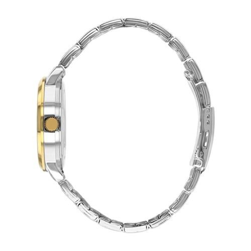 سبيشل سيتزن ذهبي فضي ميناء اخضر