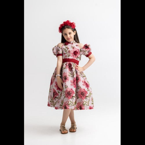 حديقة الاحلام