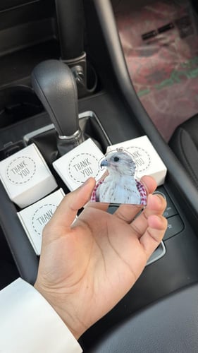 ميداليه صقر