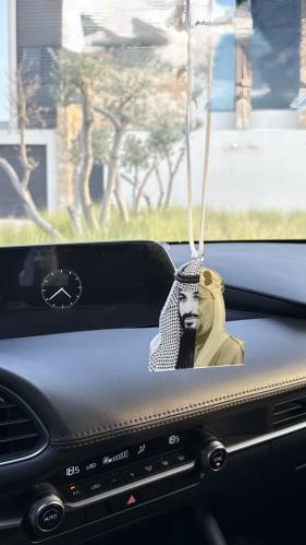 تعليقه محمد بن سلمان و الملك سعود