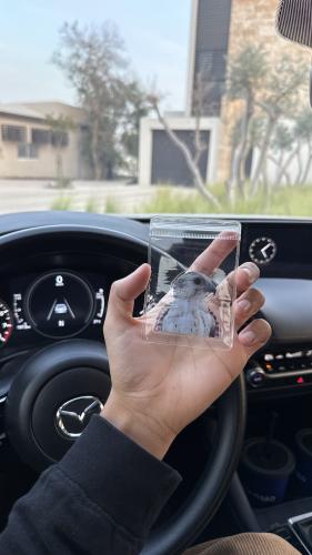 ميداليه صقر