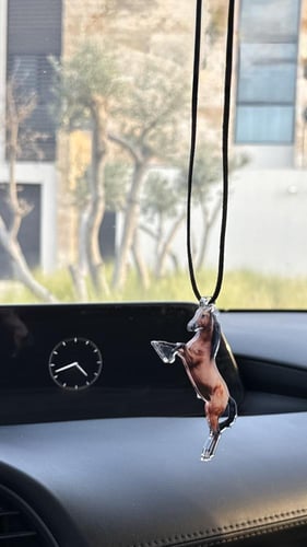 تعليقه الخيل
