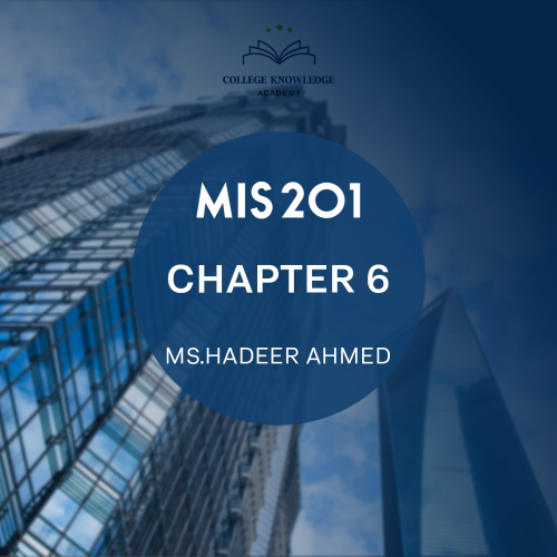 MIS 201 | Chapter 6