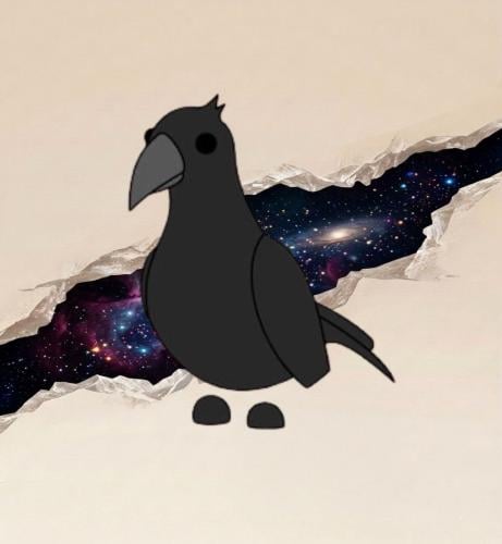 Crow نو بوشن - غراب ادوبت مي