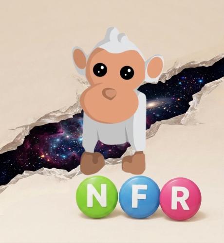 Albino Monkey NFR - قرد ابيض