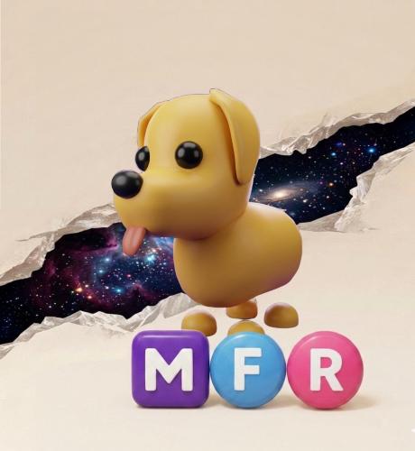 dog MFR - كلب ادوبت مي