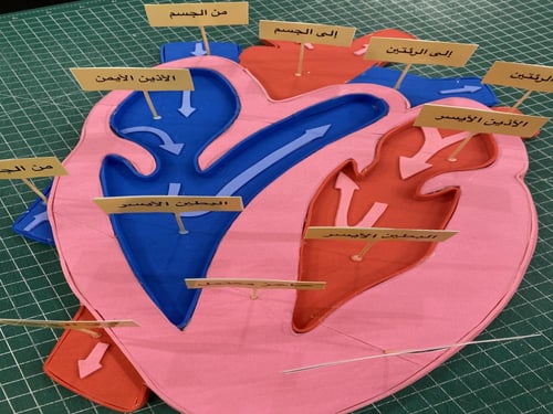 مجسم لقلب الطيور