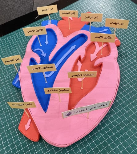 مجسم لقلب الطيور