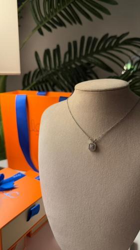 Elegant women's necklace with a sophisticated and shiny design