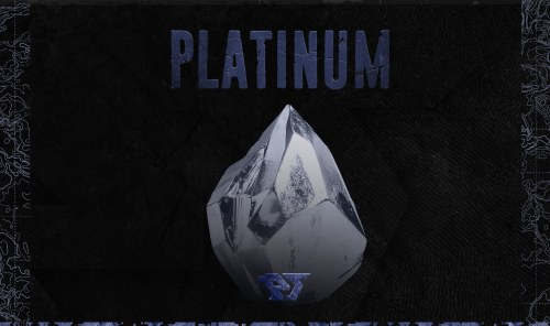 الحزمة البلاتينيوم - Platinium Pack