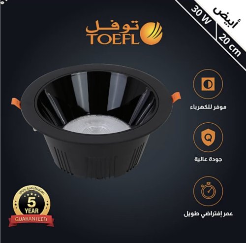 كشاف دفن اسود لون ابيض 20 سم مانع للتوهج 30 واط تو...