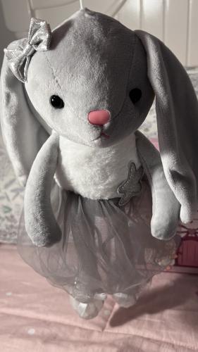 ارنب