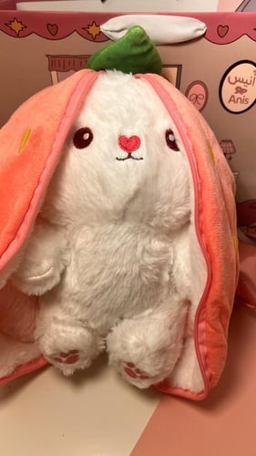 ارنوب الفراولة