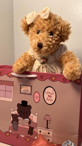 دمية مع فستان اوف وايت