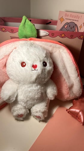 ارنوب الفراولة